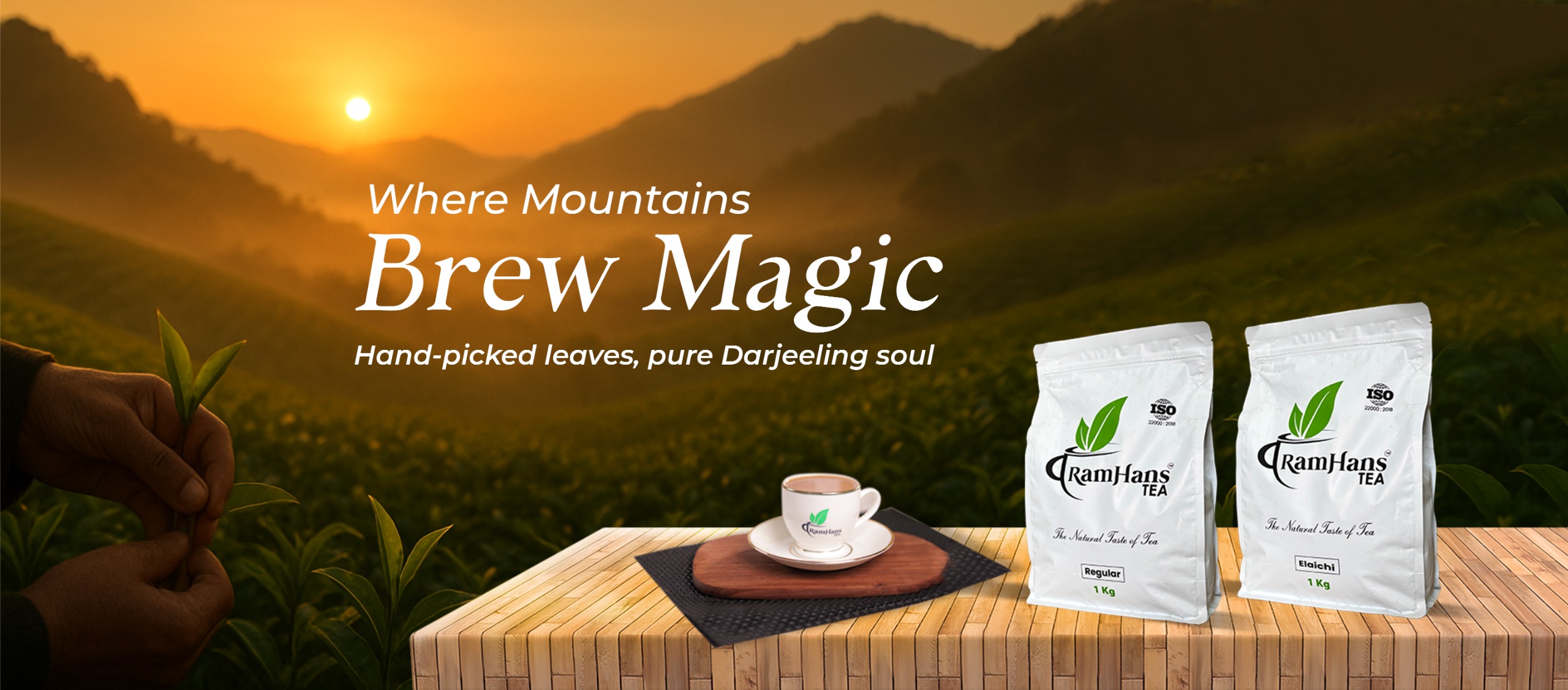 WhatsApp Image 2025-11-05 at 1.39.53 PM