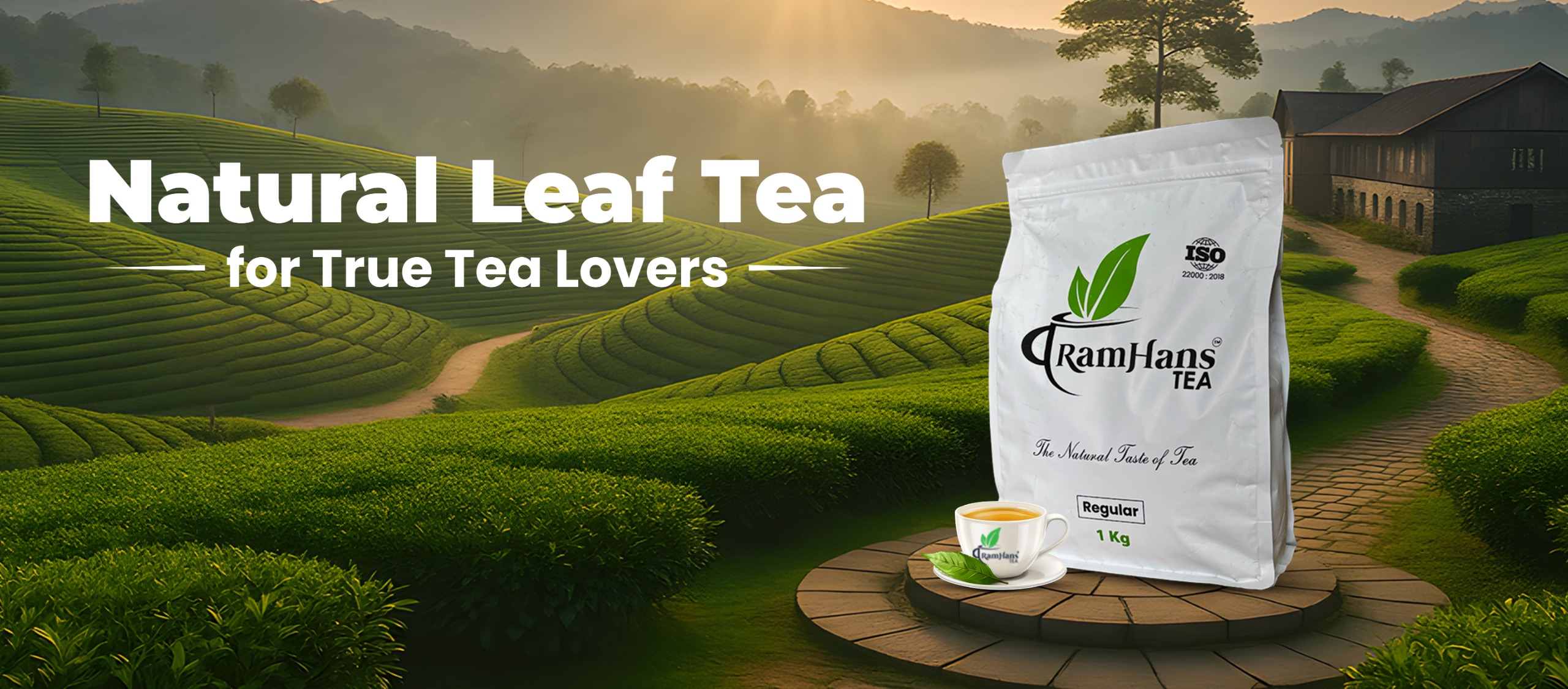 WhatsApp Image 2025-11-05 at 1.46.41 PM